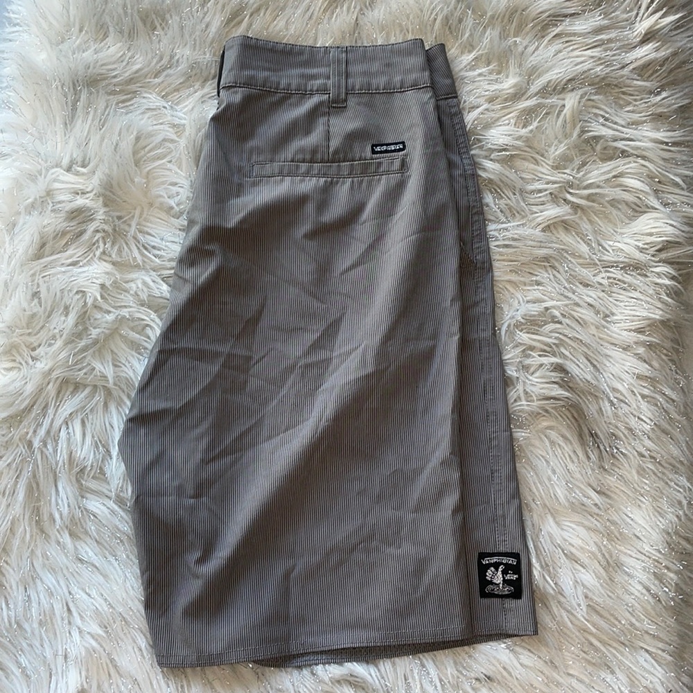 Vanphibian by Vans stripped swim trunks
